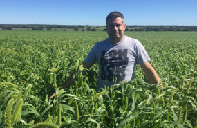 imagen de whatsapp 2024 11 29 a las 114451 88622d5a 20241210151616 imagen de whatsapp 2024 11 29 a las 114451 88622d5a 20241210151616