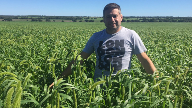 imagen de whatsapp 2024 11 29 a las 114451 88622d5a 20241210151616 