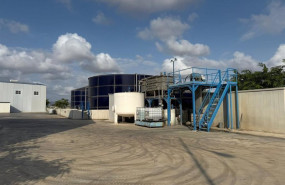 ep archivo   una planta de dominion