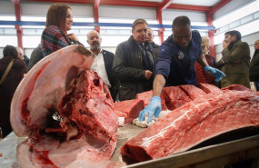 ep el ministro de agricultura y pesca luis planas visita la cofradia de pescadores san juan bautista