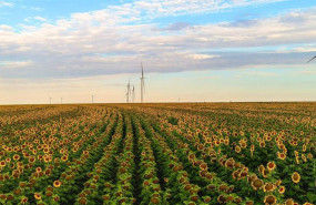 ep energias renovables de amazon