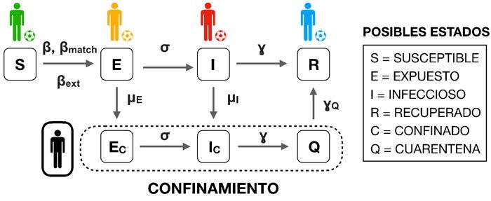 ep esquema del modelo seir adaptado para describir los contagios entre futbolistas a lo largo de una ep esquema del modelo seir adaptado para describir los contagios entre futbolistas a lo largo de una