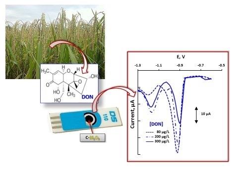 Grupo de investigadores UAM desarrolla nuevo método para detectar micotoxinas | UAM ep grupoinvestigadores uam desarrolla nuevo metododetectar micotoxinas