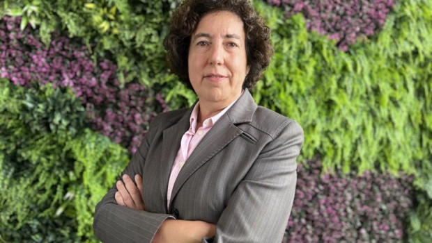 ep inmaculada briones nueva directora financiera de mutualidad
