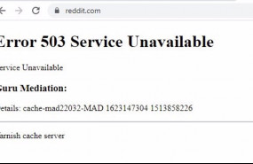 ep mensaje de error al intentar acceder a la web de reddit