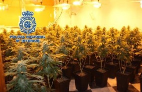 ep notaprensa la policia nacional realizaoperacionlos cortesl