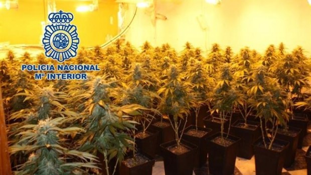ep notaprensa la policia nacional realizaoperacionlos cortesl