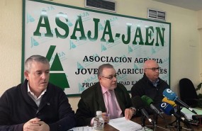 ep presentacionbalance agroganadero2018asaja-jaen