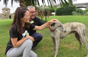 ep rapid primer galgo rehabilitadopresosdueso