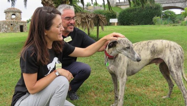 ep rapid primer galgo rehabilitadopresosdueso