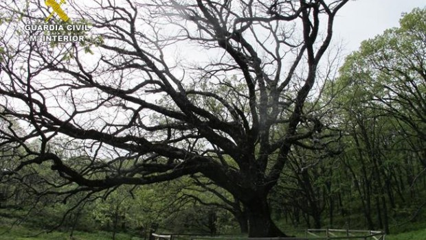 ep roble