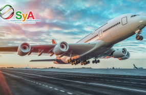 1643205242 biocombustible repsol