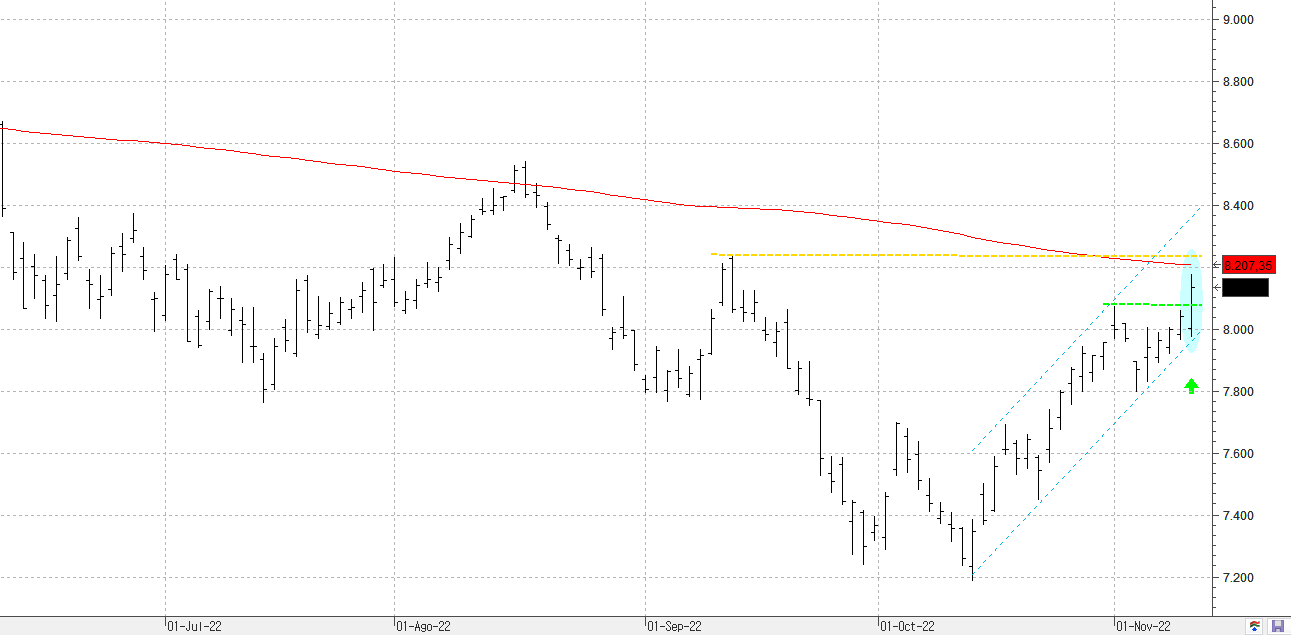 c101122ibex