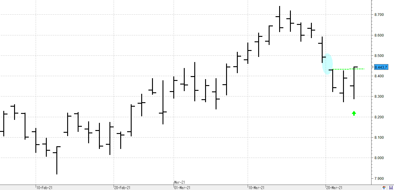 c240321ibex