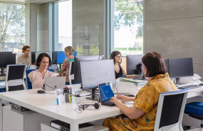 ep un grupo de teleoperadoras en la oficina