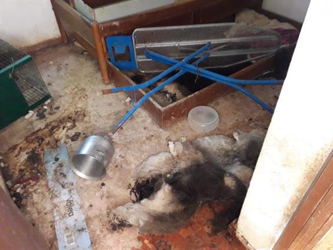 Una de las habitaciones del chalet desalojado en Salteras | EUROPA PRESS ep unalas habitacioneschalet desalojadosalteras