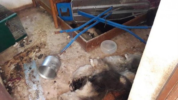 ep unalas habitacioneschalet desalojadosalteras