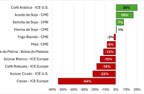 imagen1 20260204124043 