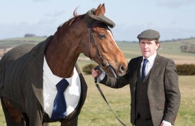 william hill cheltenham horse tweed william hill cheltenham horse tweed