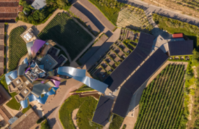 1597231717 marques riscal