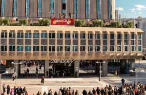 beatles canopy copia 20241211114316 beatles canopy copia 20241211114316