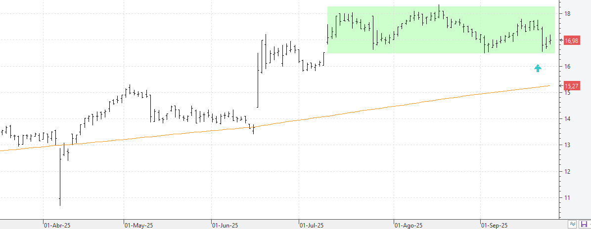 c240925neinor c240925neinor