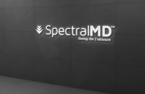 dl spectral md aim data analytics healthcare burns artificial intelligence ai logo dl spectral md aim data analytics healthcare burns artificial intelligence ai logo