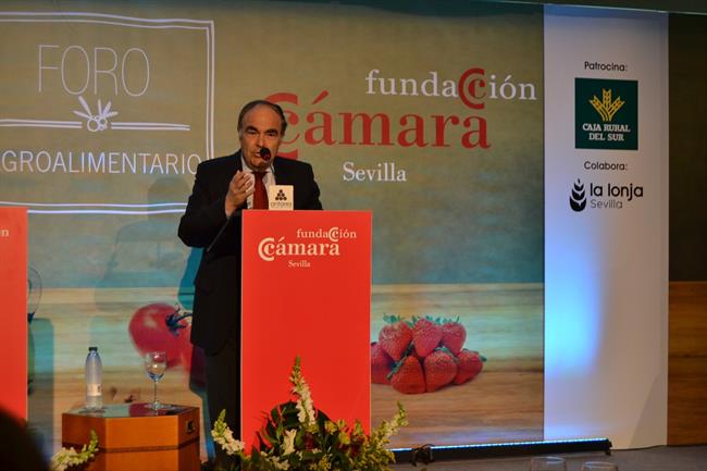 Antonio Luque, presidente de Dcoop. | EUROPA PRESS/CLUB ANTARES ep antonio luque presidentedcoop