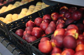 ep archivo   aldi preve comprar 18300 toneladas de fruta a proveedores nacionales este verano