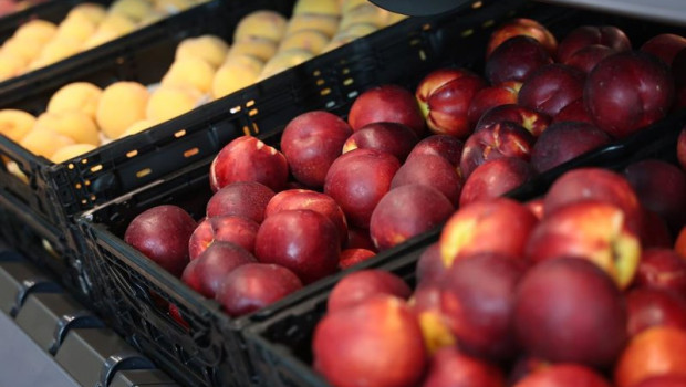 ep archivo   aldi preve comprar 18300 toneladas de fruta a proveedores nacionales este verano