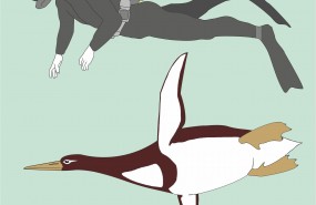 ep artististic reconstruction of kumimanu biceae in size comparison tohuman