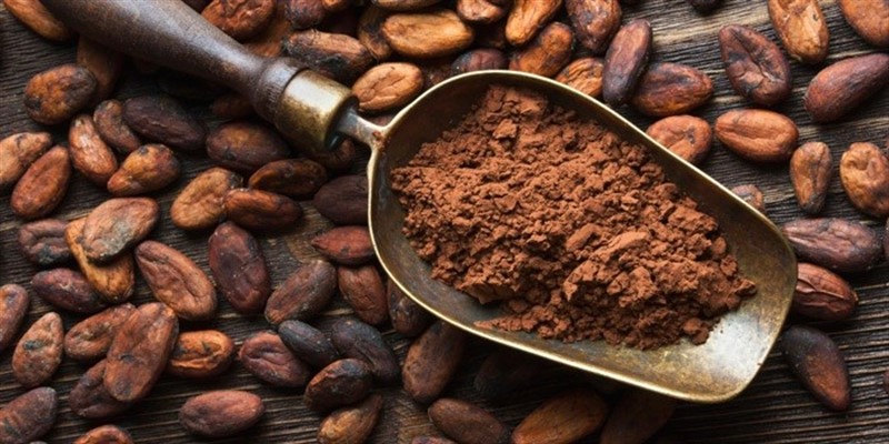 ep cacao
