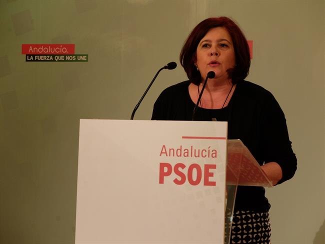 Diputada socialista Elvira Ramón | EUROPA PRESS/PSOE ep diputada socialista elvira ramon
