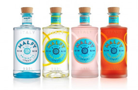 ep economia- pernod ricard refuerzaportafoliocomprarmarcaginebra super premium italiana malfy