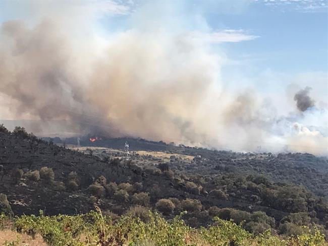 Imagen del incendio de Fermoselle el domingo 3 de septiembre | AYUNTAMIENTO DE FERMOSELLE ep imagenincendiofermoselledomingo 3septiembre