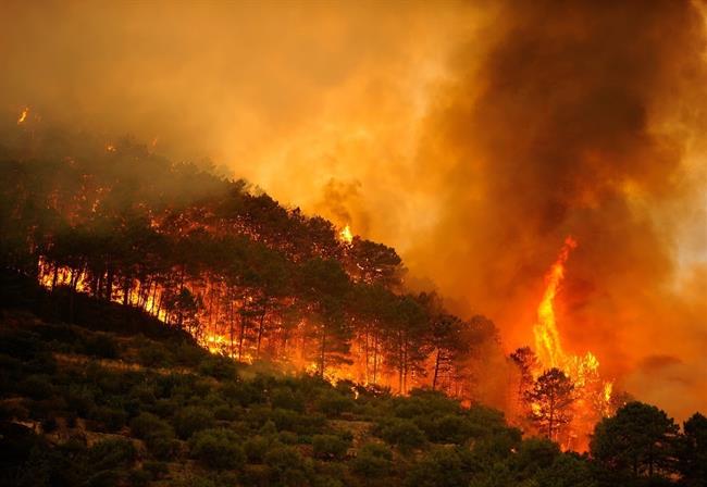 ep incendio forestalcollado mediano madrid 1julio2009