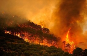 ep incendio forestalcollado mediano madrid 1julio2009
