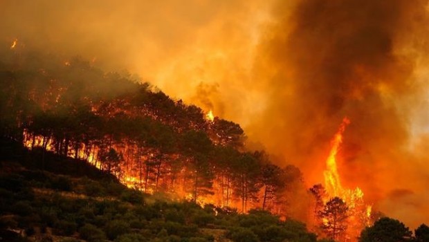 ep incendio forestalcollado mediano madrid 1julio2009