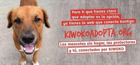 ep lanzamiento plataforma kiwokoadoptaorg