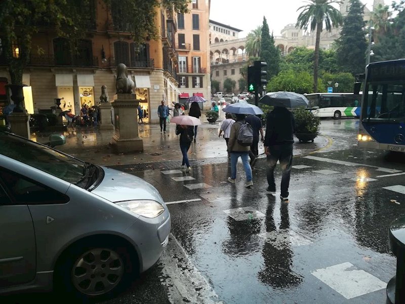 ep lluvia palma paraguas tiempo llover