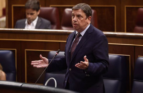 ep luis planas durante una intervencion en el congreso de los diputados