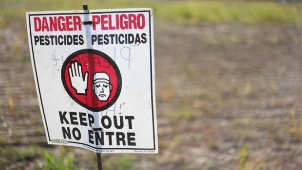 ep pesticidas toxicos sustancias toxicas