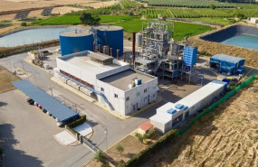 ep planta neoelectra