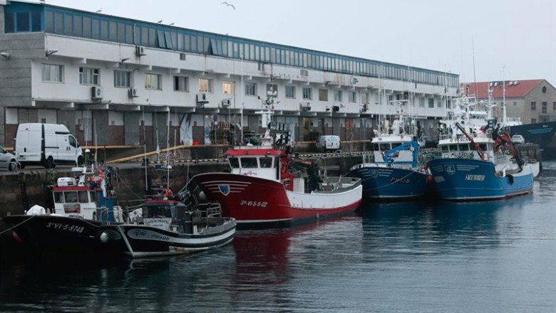 Puerto de Vigo durante el paro de la flota pesquera de bajura, a 19 de enero de 2026, en Vigo, Pontevedra, Galicia (España). La flota de pesca de bajura comienza un paro indefinido para protestar contra la nueva normativa europea que obliga a los barcos a | Adrián Irago - Europa Press ep puerto de vigo durante el paro de la flota pesquera de bajura a 19 de enero de 2026 en vigo