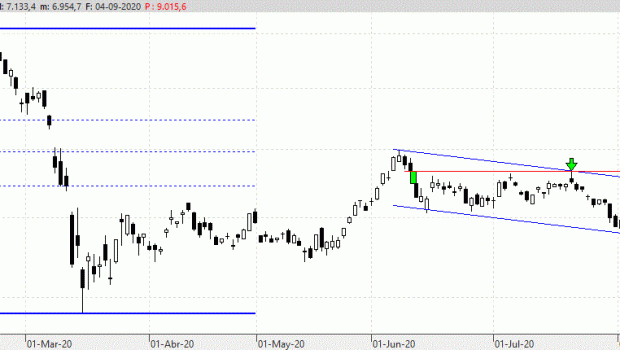 ibex070920