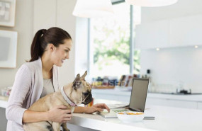 1593430913 focused199749270 stock photo woman using laptop dog lap