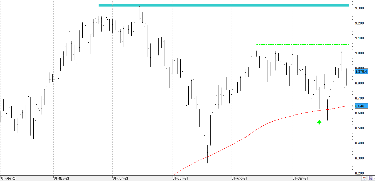 c290921ibex