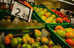 ep archivo   lineal de tomates en un mercado