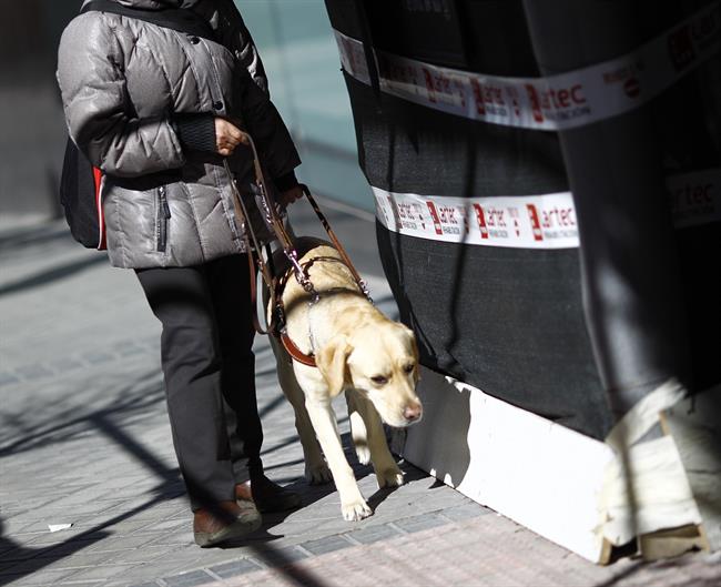 Discapacidad, discapacitado, ciego, personas ciegas con perro guía, lazarillo | EUROPA PRESS ep discapacidad discapacitado ciego personas ciegasperro guia lazarillo 20170424150503
