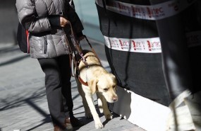 ep discapacidad discapacitado ciego personas ciegasperro guia lazarillo 20170424150503